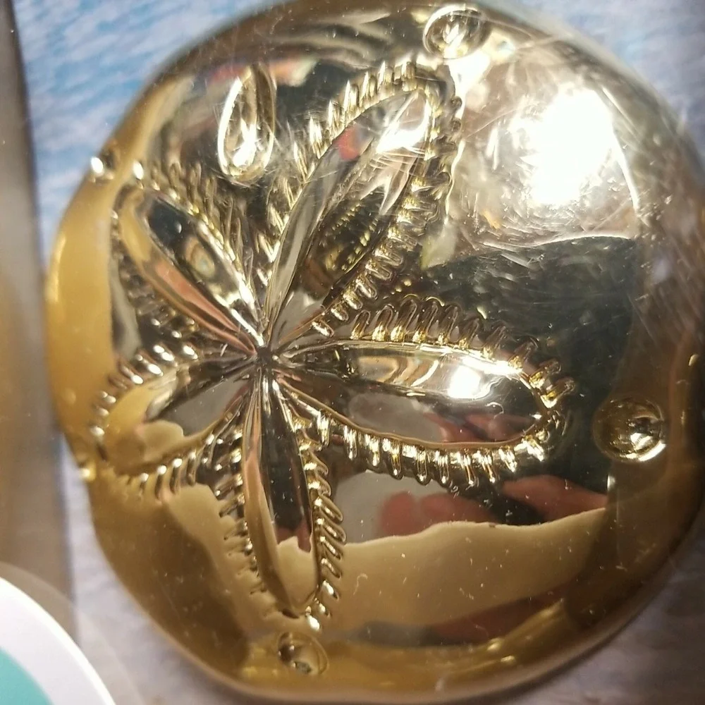 Wild Eye Designs sand dollar